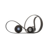 SKF VKMA 32128 Kit Cinghie Poly-V per FIAT Doblo Cargo (223) Doblo Station Wagon