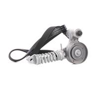 SKF Kit Cinghie Poly-V VKMA 35113 EPDM (Etilene-Propilene-Diene-Caucciù)