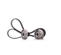 SKF VKMA 35314 Kit Cinghie Poly-V