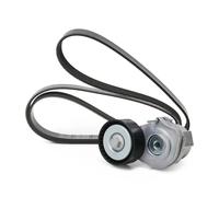 SKF Kit Cinghie Poly-V VKMA 35341 EPDM (Etilene-Propilene-Diene-Caucciù)