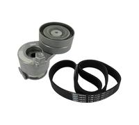 Set di cinghie Poly-V SKF VKMA 36072