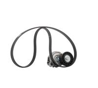 Set di cinghie Poly-V SKF VKMA 36244