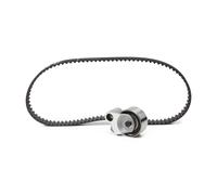 SKF VKMA 91920 Kit cinghia di distribuzione