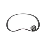 SKF Kit cinghia di distribuzione VKMA 94102 N° denti: 107 25mm