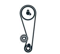 SKF VKMA 95660 Kit Tendicinghia Distribuzione