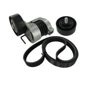 SKF VKMA38330 Set Cinghia Scanalata per BMW E81 E87 E82 E88 E46 E90 E91 E60