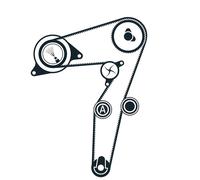 Pompa dell'acqua + kit cinghia di distribuzione SKF VKMC 02195-2