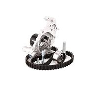SKF Pompa dell'acqua + kit cinghia di distribuzione VKMC 06010 per Renault