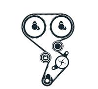 Pompa dell'acqua + kit cinghia di distribuzione SKF VKMC 06020