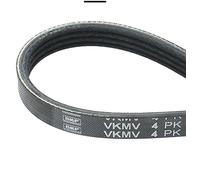SKF VKMV 4PK1538 Cinghia di Multi-V,