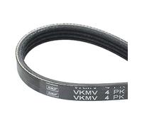 SKF Cinghia Poly-V VKMV 4PK855 NISSAN,SUBARU,BMW,200 SX (S13),FORESTER (SG),3 Sedan (E36),5 Sedan (E34),5 Touring (E34),PASSAT Variant (3B6)