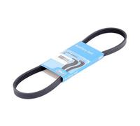 Cinghia trapezoidale multirighe VKMV 4SK810 SKF per BMW 3 1 3 Touring