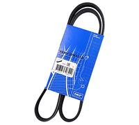 SKF VKMV 5PK1110 Cinghia di multi-V