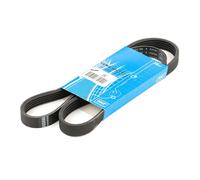 Cinghia trapezoidale multirighe VKMV 5PK1121 SKF per VOLVO S80 II V70 III S60 II