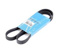 SKF VKMV 5PK1145 Cinghia servizi per FORD KA (RU8) 1145mm