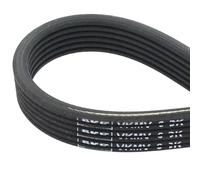 SKF VKMV 6DK1825 Cinghia servizi Cinghia Poly-V Cinghia alternatore Cinghia dei servizi