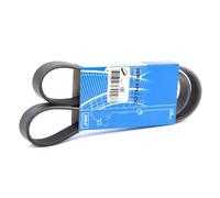 SKF VKMV 6PK1050 Cinghia servizi per VW Golf V Hatchback (1K1) 1050mm