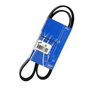 SKF VKMV 6PK1070 Cinghia di multi-V