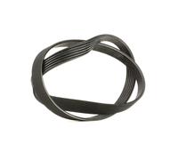 SKF VKMV 6PK1076 Cinghia servizi per VW Polo Hatchback (6R1, 6C1) 1076mm