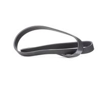 SKF Cinghia servizi VKMV 6PK1244 Poly-V