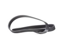 SKF VKMV 6PK1244 Cinghia servizi per OPEL Corsa D Hatchback (S07) ASTRA J 1244mm