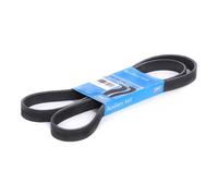 SKF VKMV 6PK1548 Cinghia servizi per VW Golf IV Schrägheck (1J1) 1548mm