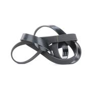 SKF VKMV 6PK1670 Cinghia di multi-V