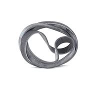 SKF VKMV 6PK1873 Cinghia di multi-V