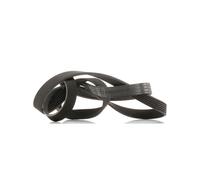 Cinghia Poly V Skf VKMV 6PK1900 per Opel Toyota Vauxhall