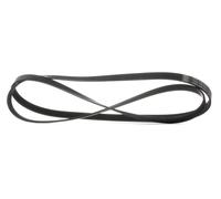 SKF VKMV 6PK2155 Cinghia servizi per VW LT 28-46 II Kastenwagen (2DA, 2DD, 2DH)