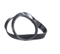 Cinghia trapezoidale multirighe VKMV 6PK728 SKF per CITROËN PEUGEOT