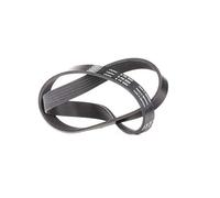 SKF VKMV 6PK850 Cinghia di multi-V