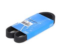 Cinghia Poly-V - SKF VKMV 6PK950