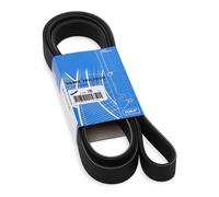 SKF VKMV 7PK2000 Cinghia servizi Cinghia Poly-V Cinghia alternatore Cinghia dei servizi