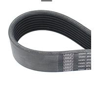 SKF VKMV 8PK2035 Cinghia di Multi-V,