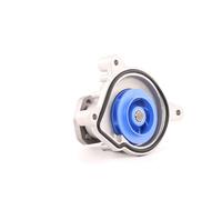 SKF VKPC 81307 Pompa acqua