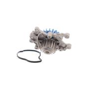 SKF Pompa acqua, raffreddamento motore VKPC 83319