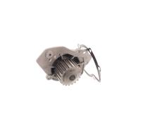 SKF VKPC 83424 Pompa acqua