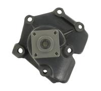 SKF Pompa dell'acqua VKPC 84618 per FORD, LDV