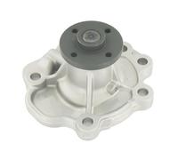 SKF VKPC 85305 Pompa Acqua,