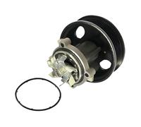 SKF VKPC 85701 Pompa Acqua