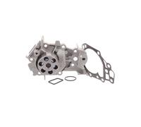 SKF VKPC 86810 Pompa acqua per RENAULT Clio III Hatchback (BR0/1, CR0/1)