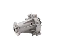 SKF VKPC 88620 Pompa acqua