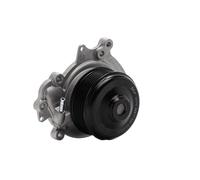SKF VKPC 88877 Pompa acqua