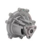 SKF VKPC 89002 Pompa acqua