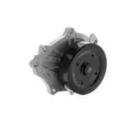 SKF VKPC 91817 Pompa Acqua