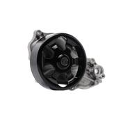 SKF VKPC 93614 Pompa acqua