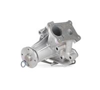 SKF VKPC 95800 Pompa acqua