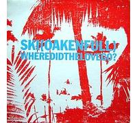 Ski Oakenfull - Where Did Our Love Go