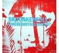 Ski - Where Did The Love Go? - Vinile